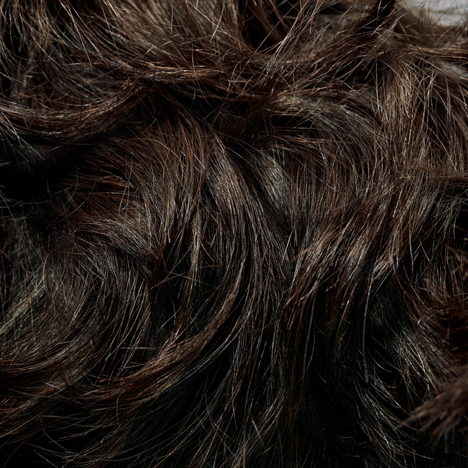 Oribe Hair and Body Wash