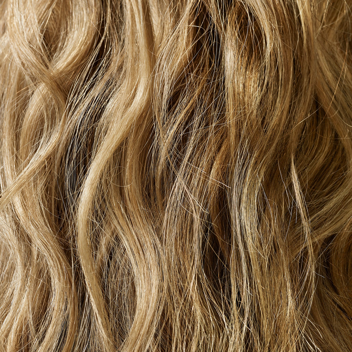 blonde hairs
