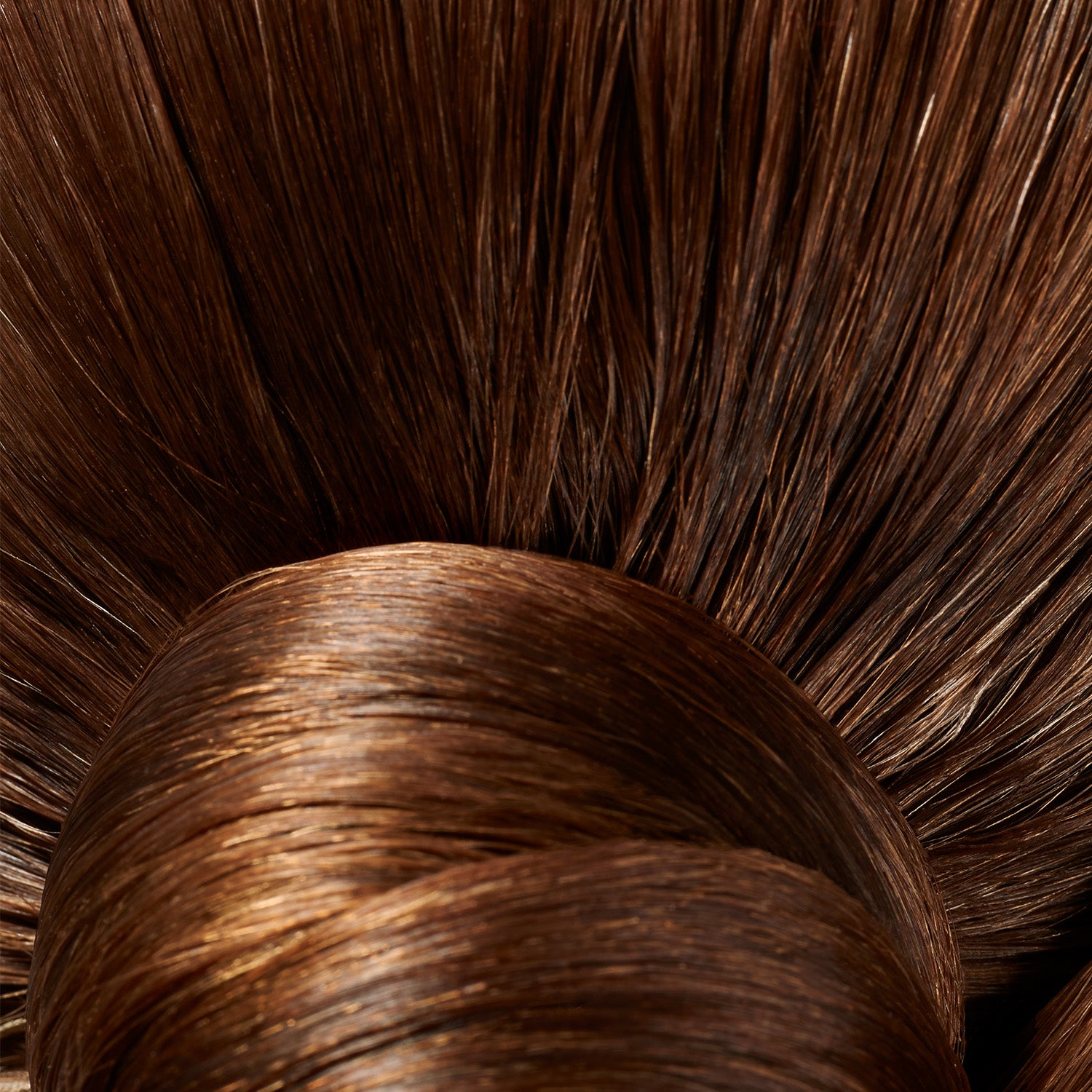 Shiny brown hair
