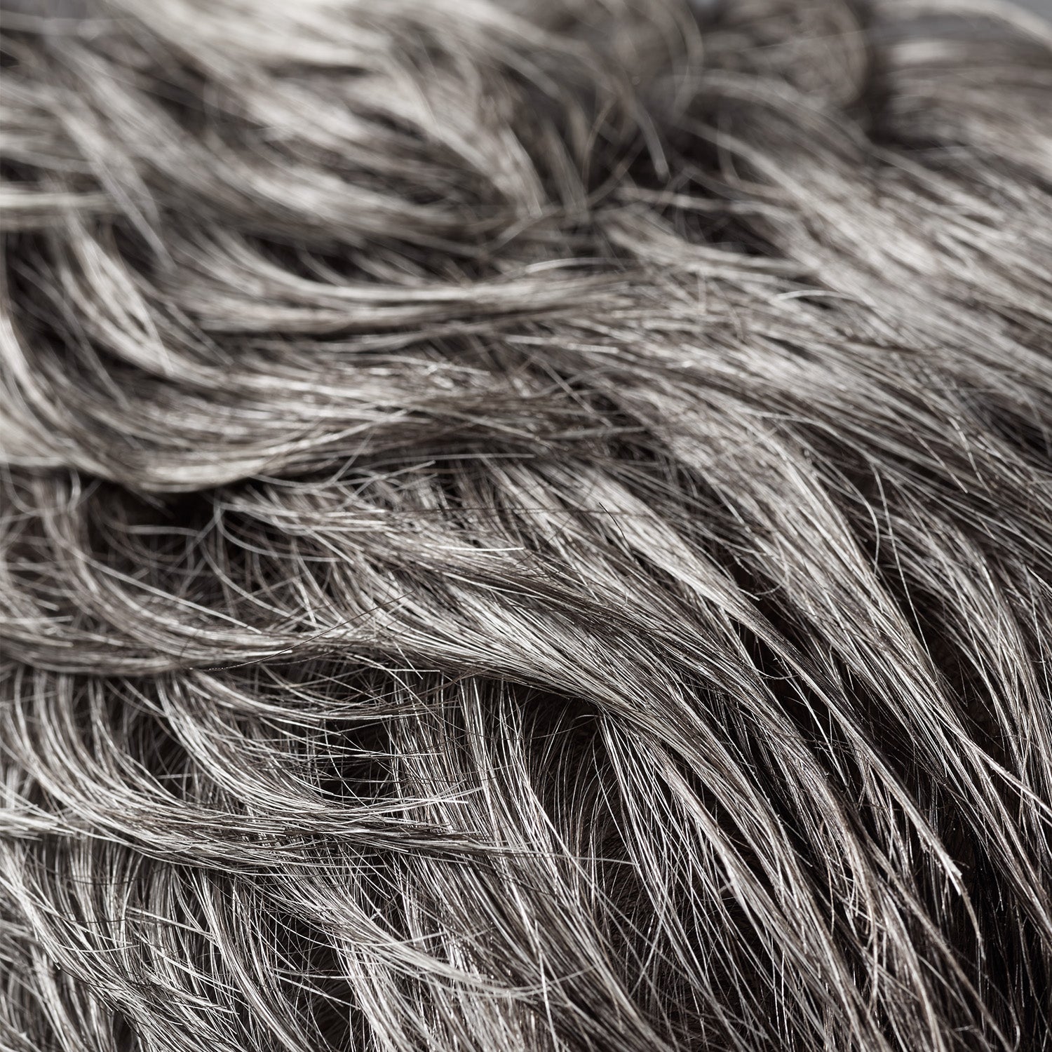 Whitish hair