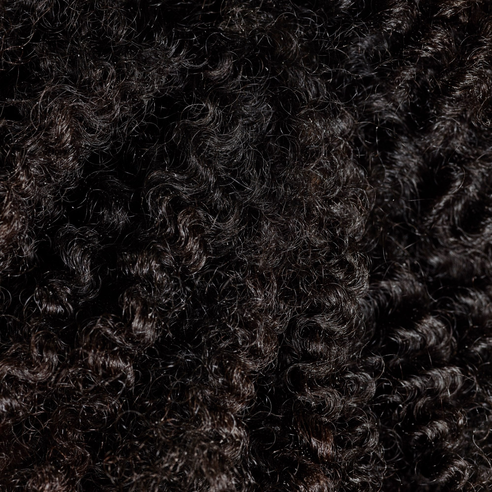Coily Hair