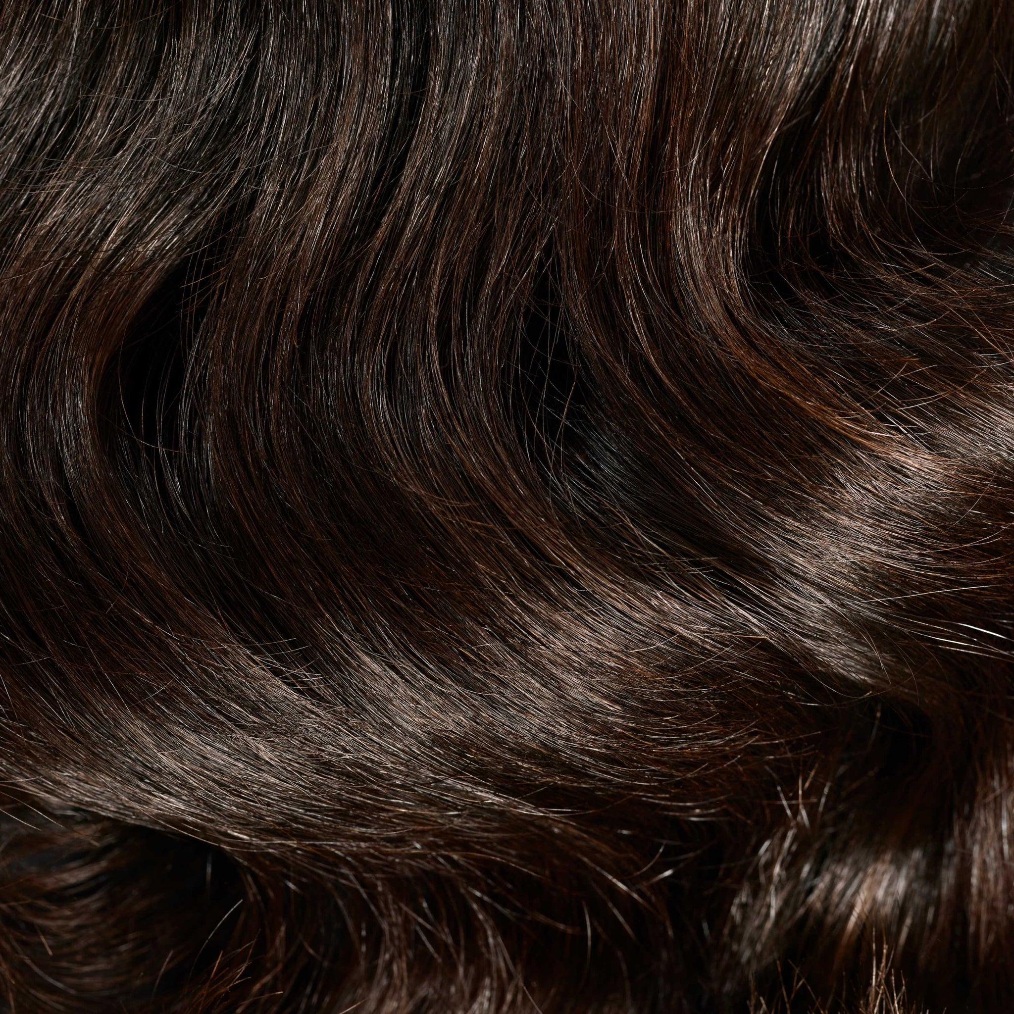 Shiny hairs