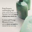 Eternal Curls Cleansing Crème